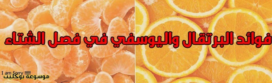 فوائد البرتقال واليوسفي في فصل الشتاء وأضرارهما